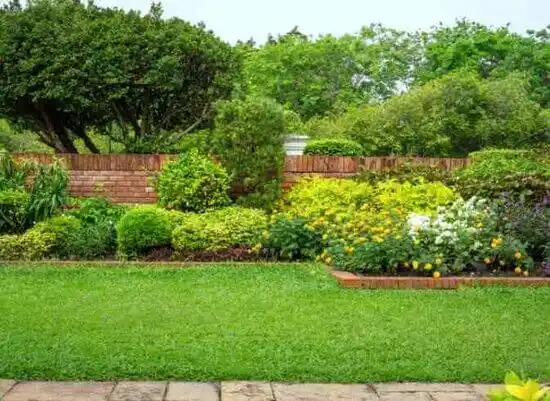 landscaping services Olivette